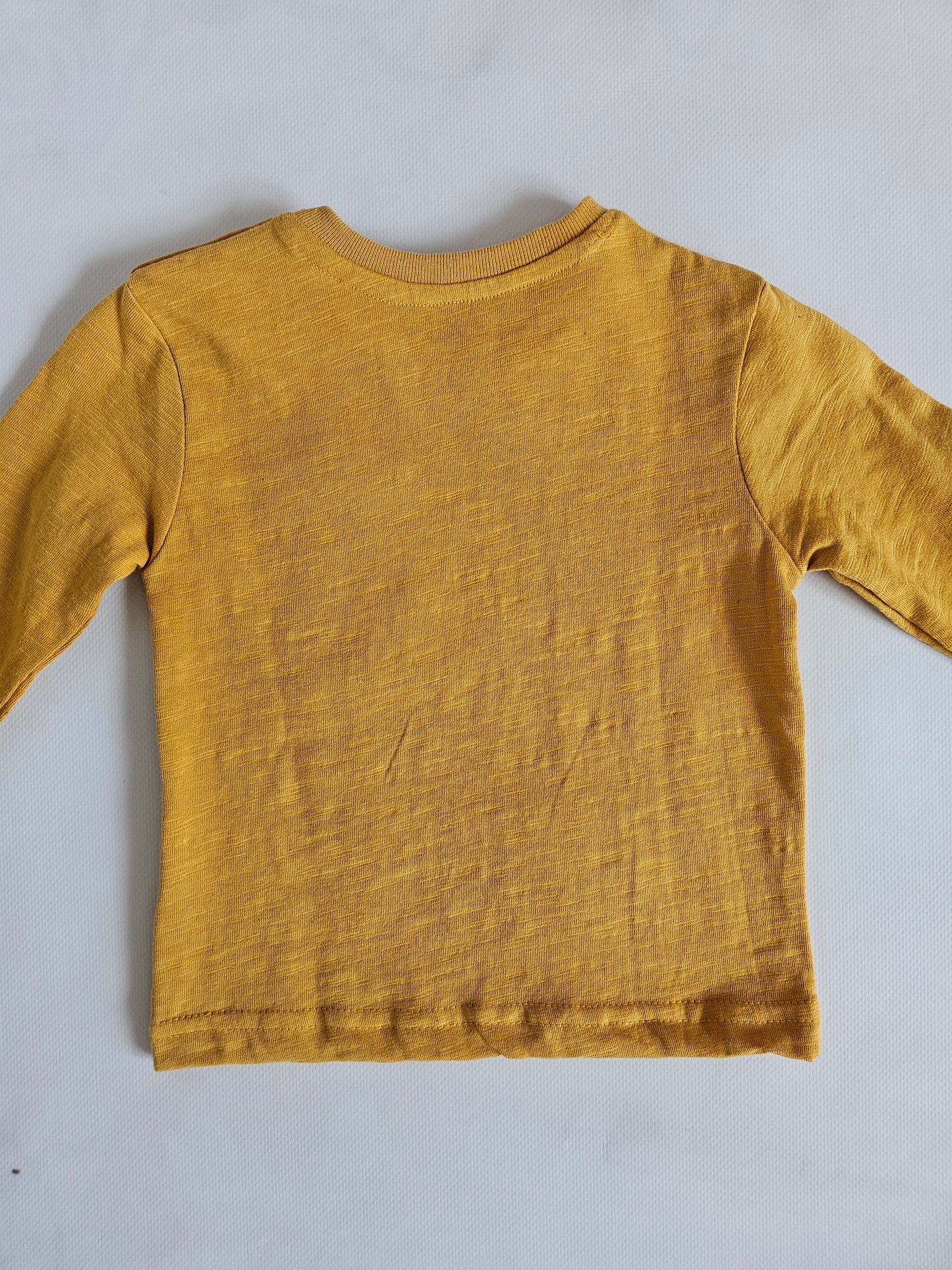 Camiseta bebé DINOSAURIOS