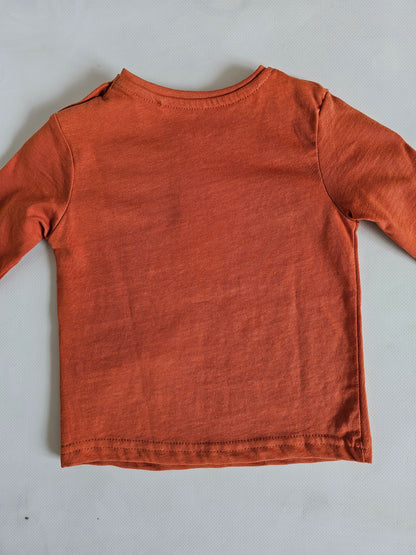 Camiseta bebé DINOSAURIOS