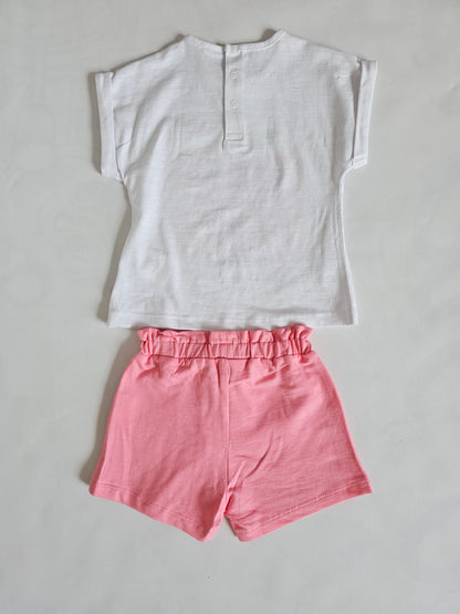 Conjunto FRESA