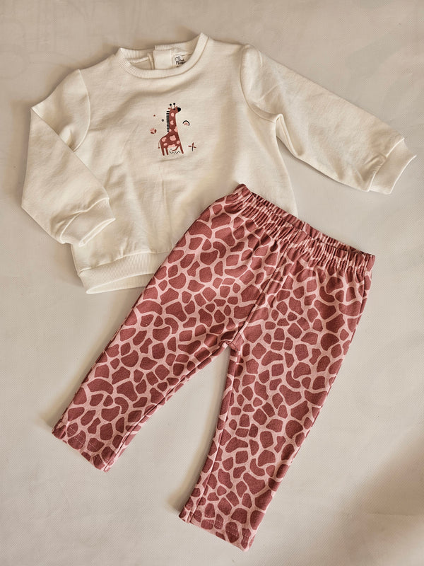 Conjunto JIRAFA
