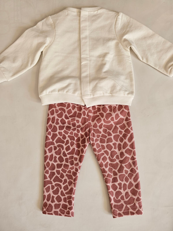 Conjunto JIRAFA