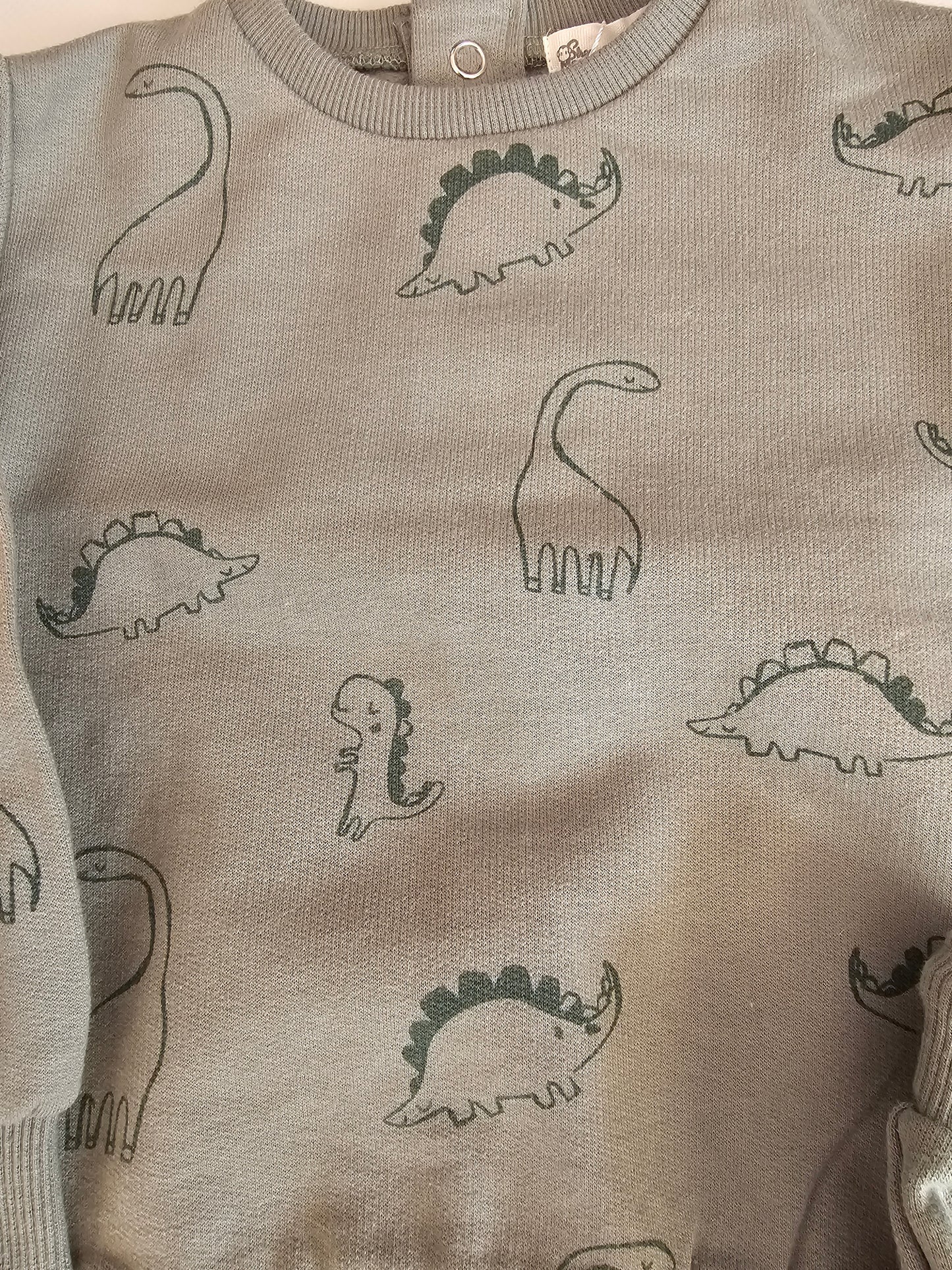 Chándal DINOSAURIOS