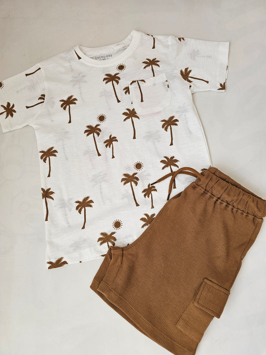 Conjunto Palmeras