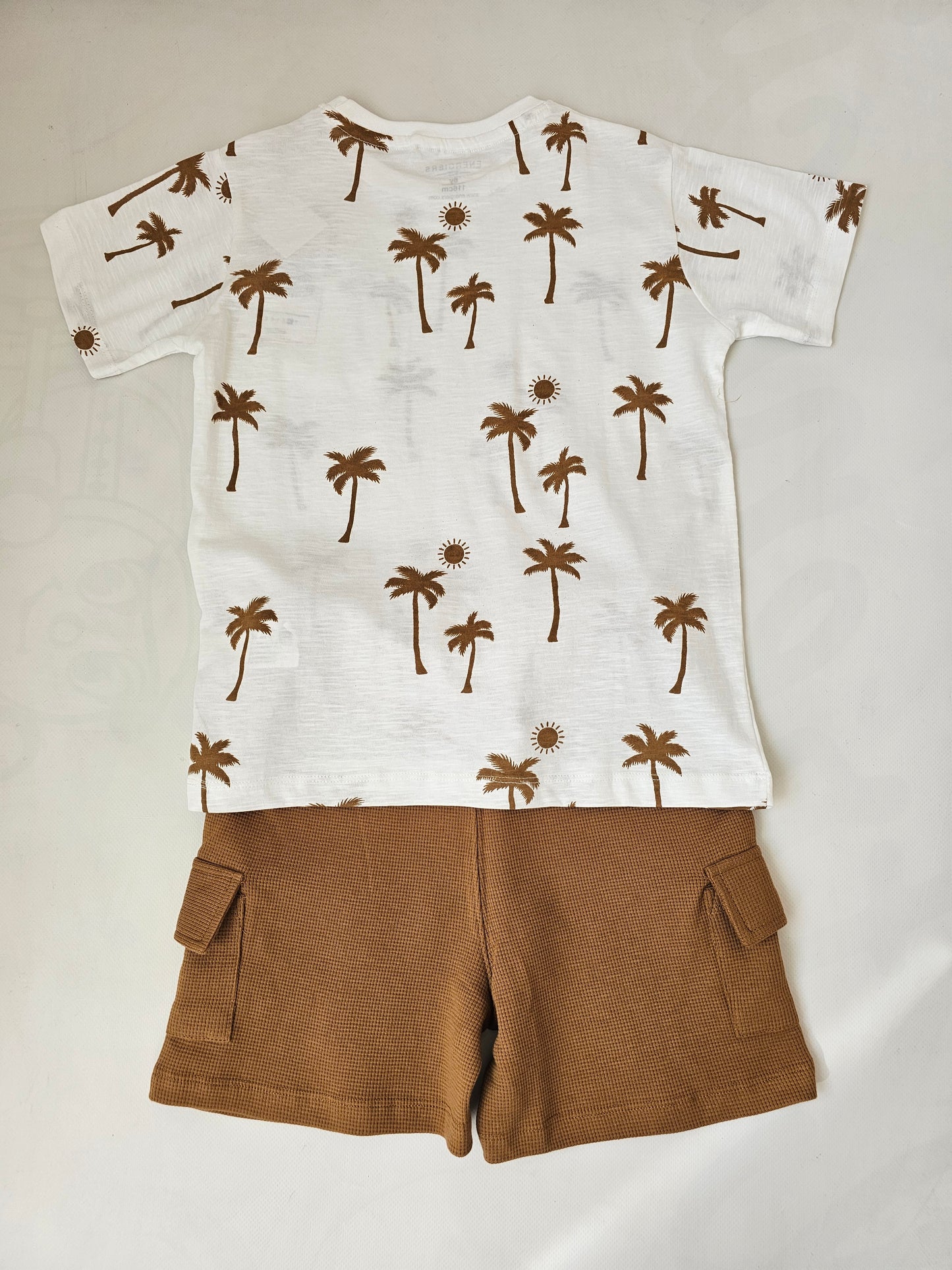 Conjunto Palmeras