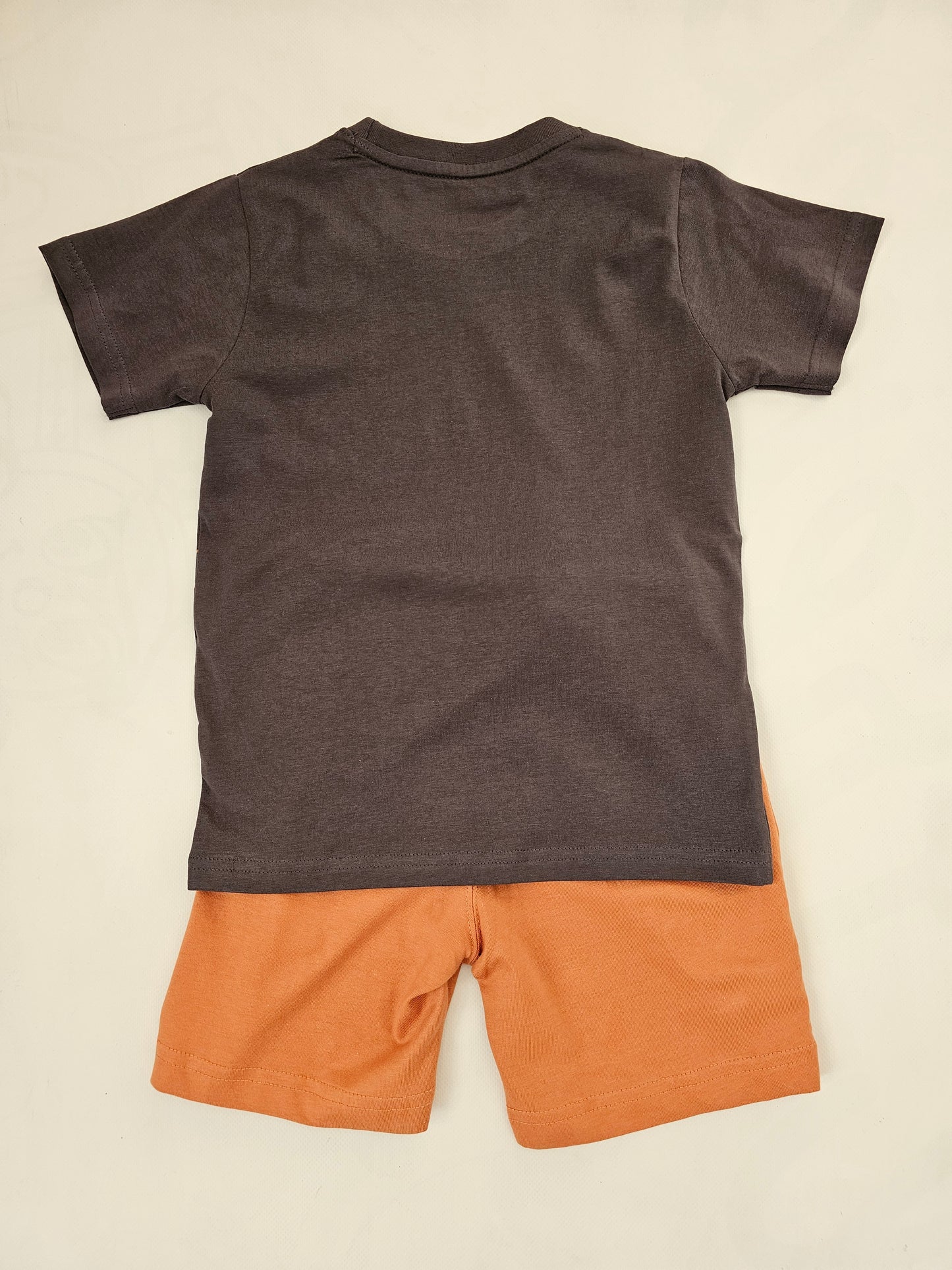Conjunto Niño Dino