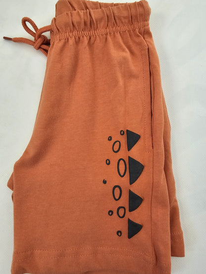 Conjunto Niño Dino