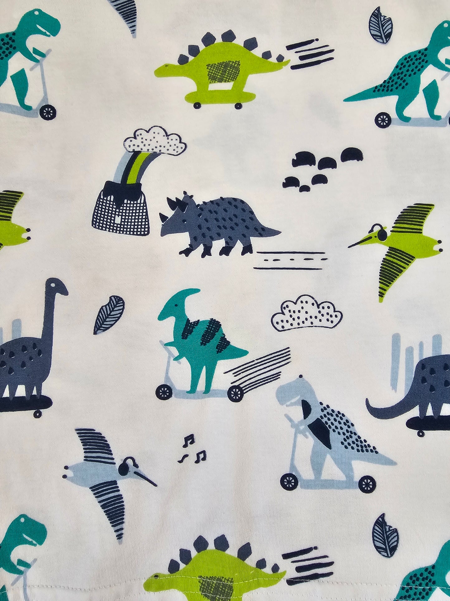 Conjunto Dinosaurios