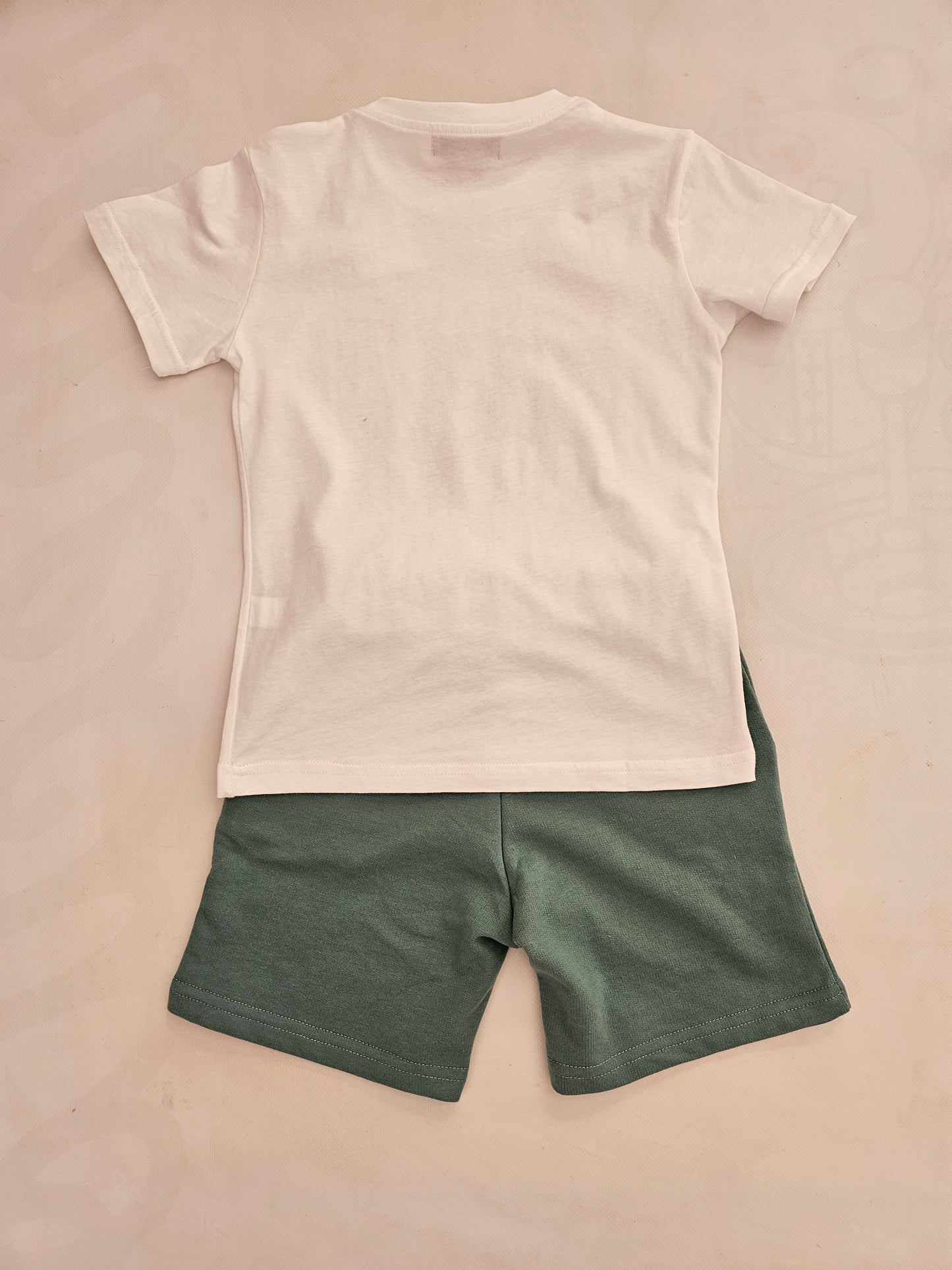 Conjunto Palmeras