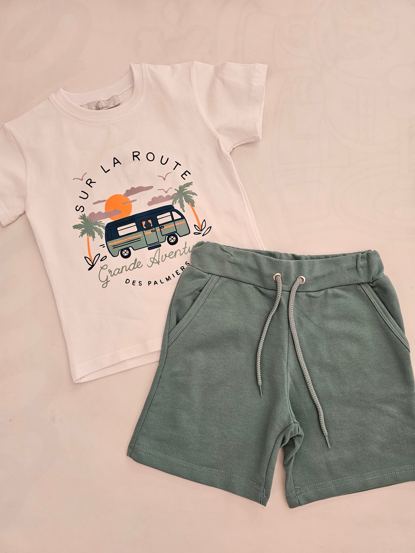 Conjunto Palmeras