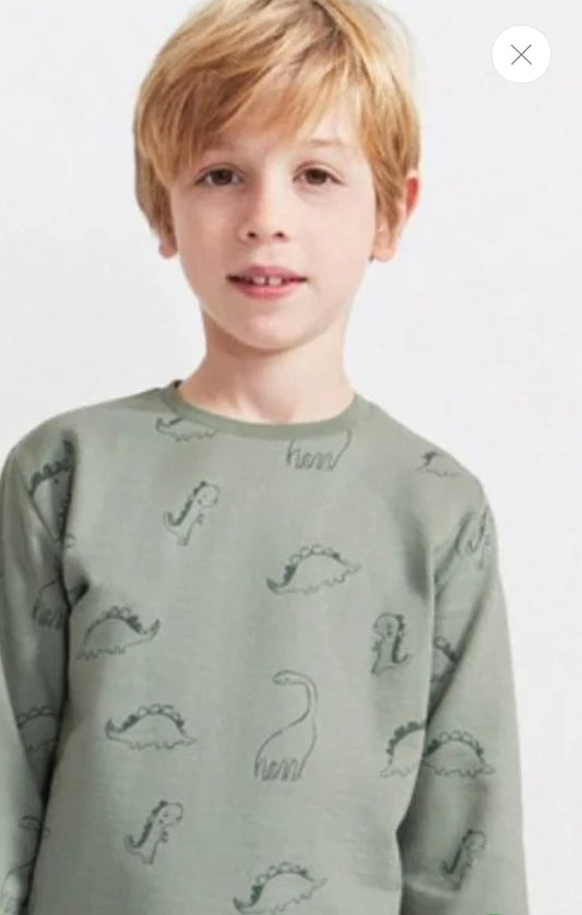 Chándal DINOSAURIOS